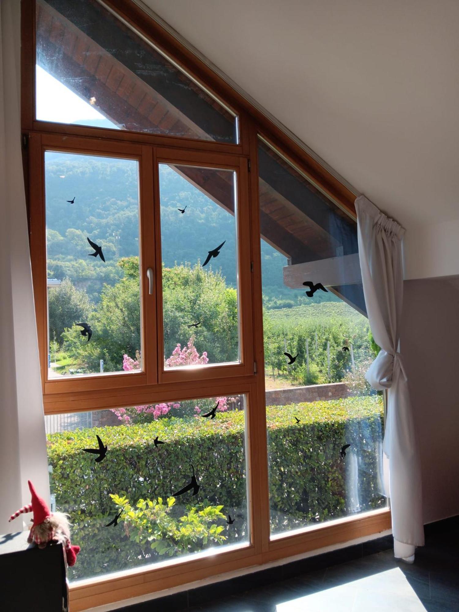 Casa Sally San Michele allʼAdige Екстериор снимка